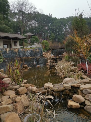 灰汤温泉职工疗养院