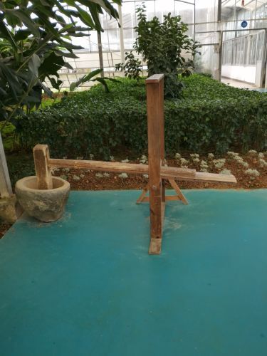 广垦(茂名)国家热带农业公园