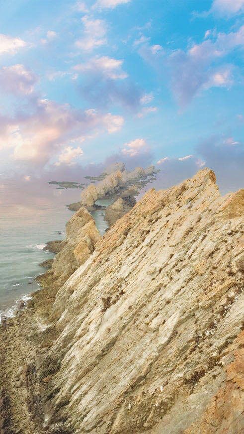 骆驼山海滨森林公园