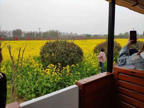 兰陵国家农业公园