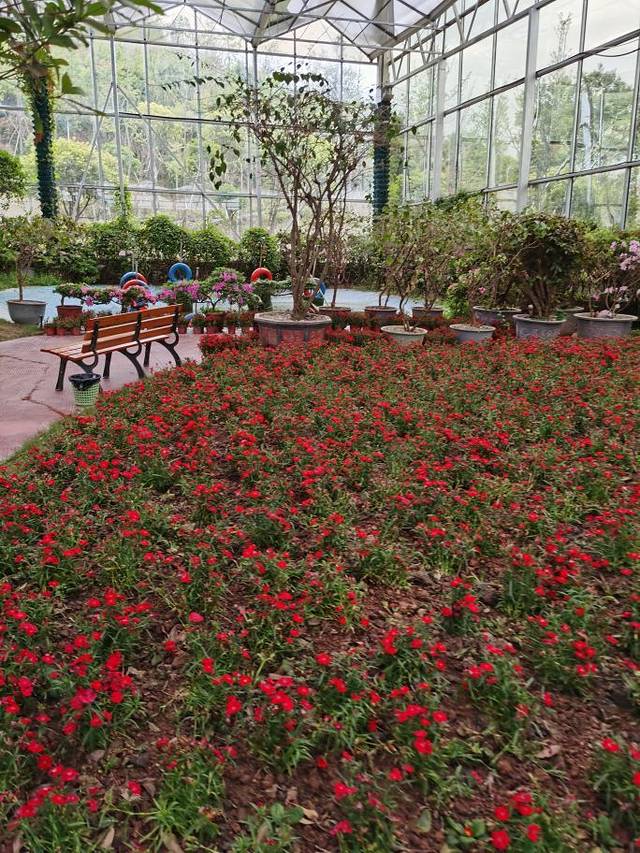 太乙仙山植物园