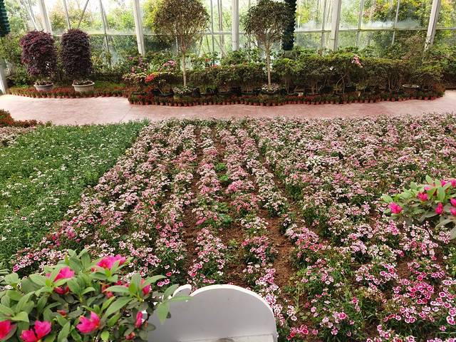 太乙仙山植物园