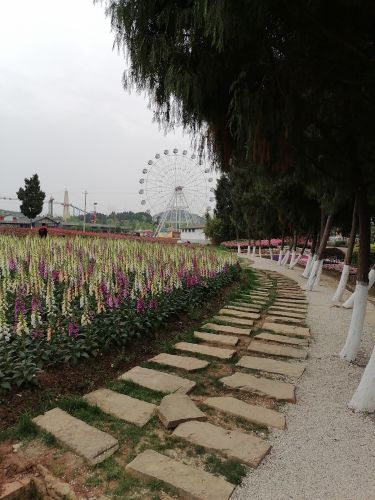 原香国际香草园