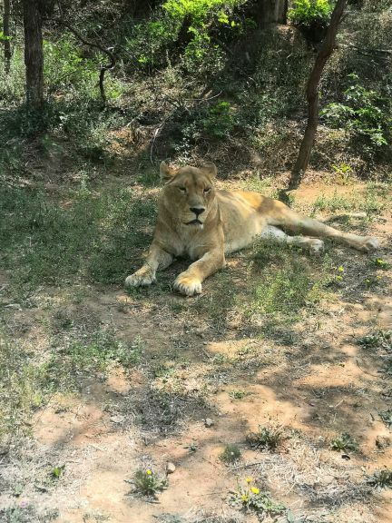 辛玛王国游乐园