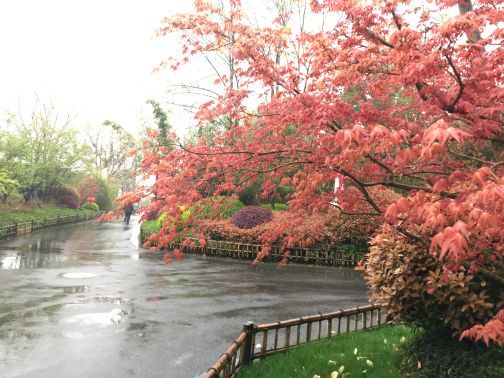 融创·欢喜欢喜乐园