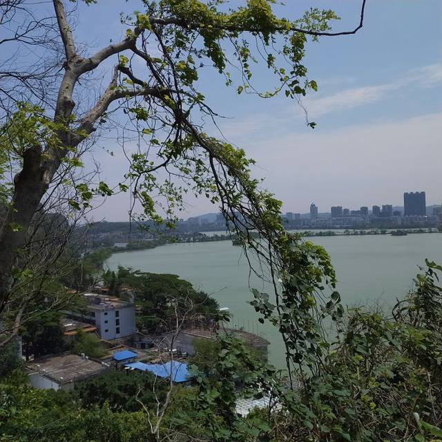 阅江楼(正东路)