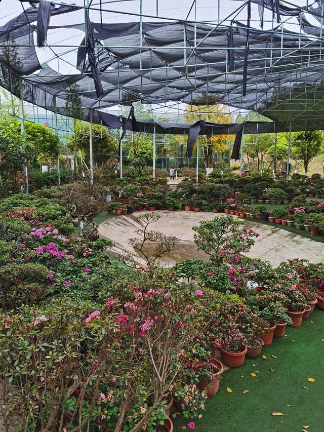 太乙仙山植物园