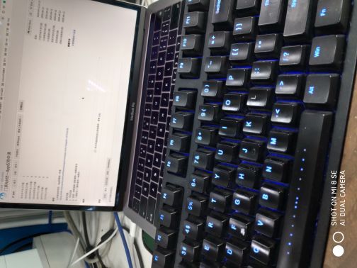 世界花卉大观园