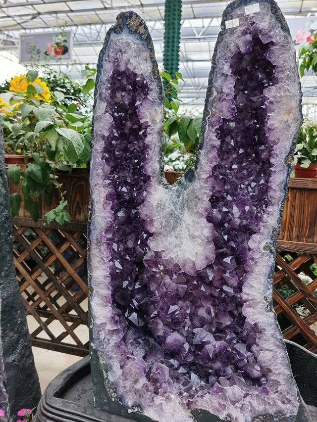 太乙仙山植物园