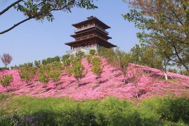 古柏渡丰乐樱花园