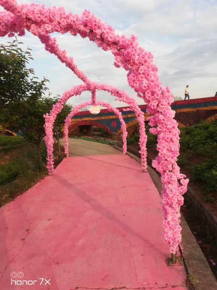 花田广兴芍药园