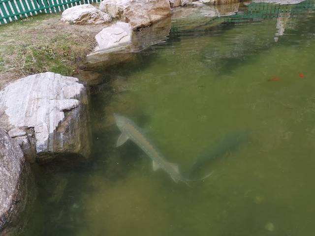 苍山世界地质公园·石门关大峡谷