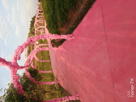 花田广兴芍药园