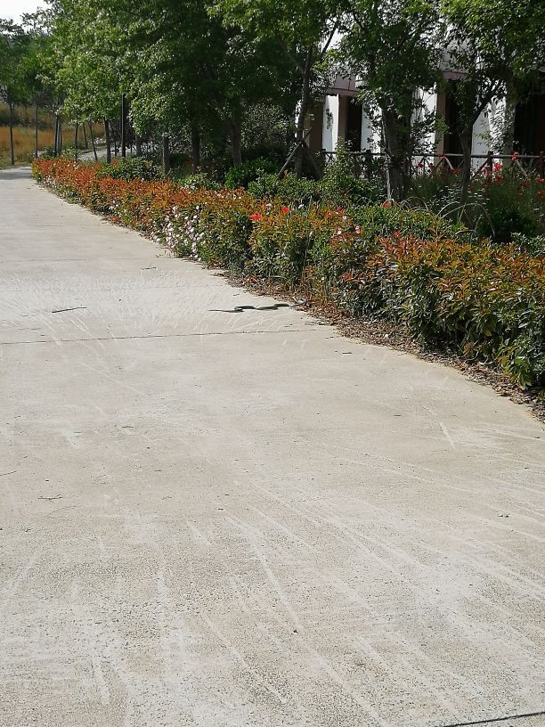 普兰斯薰衣草庄园