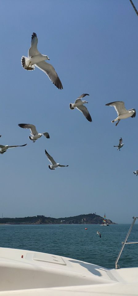 黄渤海分界坐标