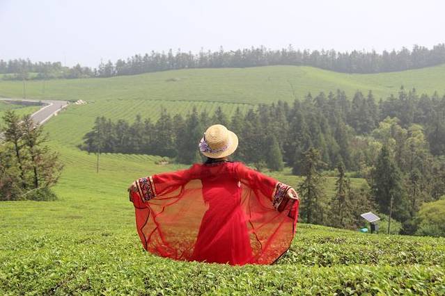 东钱湖福泉山景区