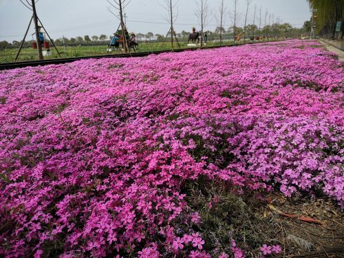 兰陵国家农业公园