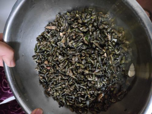 夏家河子海滨公园