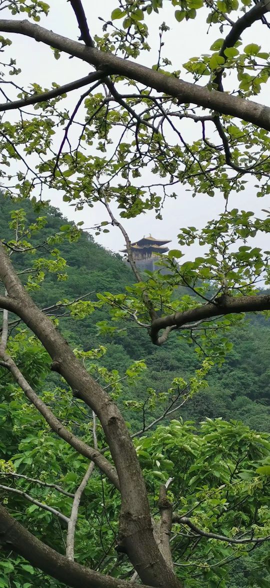 大洪山风景名胜区