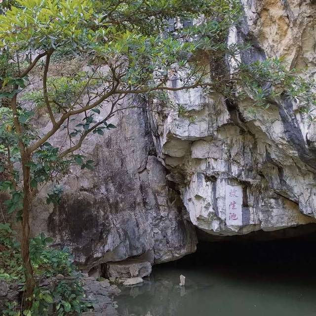 阅江楼(正东路)