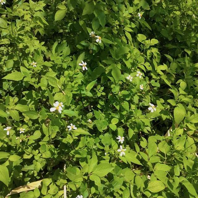 阅江楼(正东路)