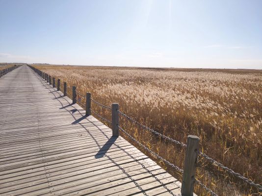 龙安桥国家湿地公园