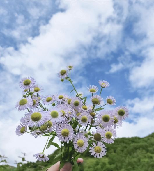 九寨沟爱情海景区