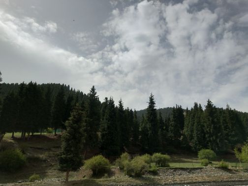 南山牧场西白杨沟景区