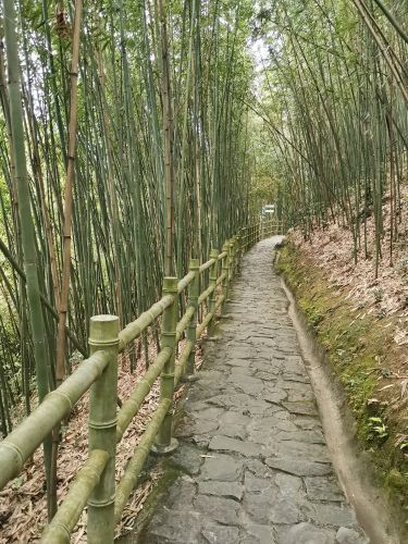 百里竹海景区-观音洞