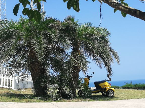 放鸡岛生态旅游国际度假区