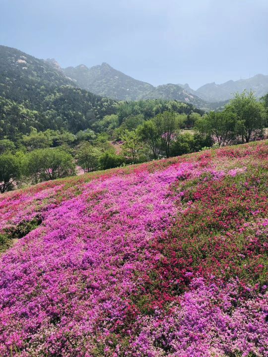 昆嵛山石门里景区