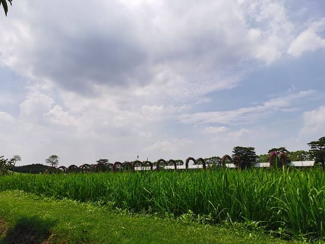 迪茵湖田家舍生态农场