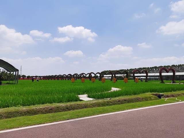 迪茵湖田家舍生态农场