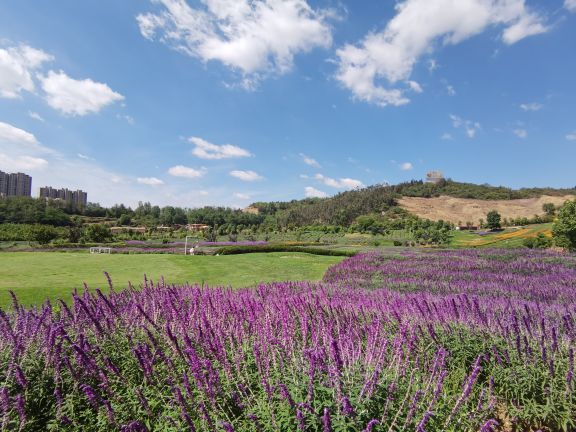 金麟湾爱情小镇