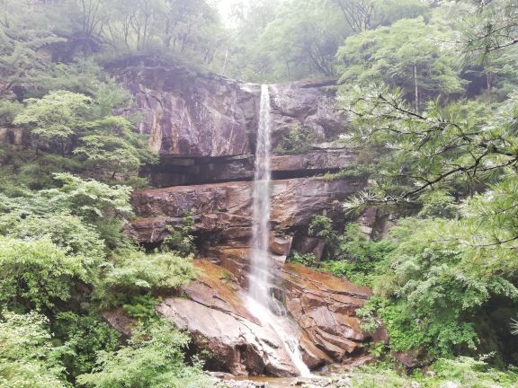 青峰峡森林公园