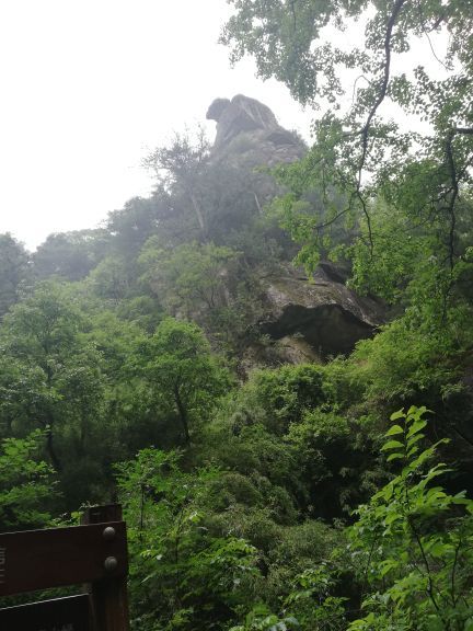 青峰峡森林公园