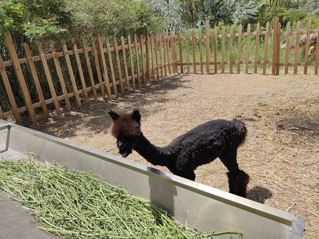 七星湖沙漠生态旅游区