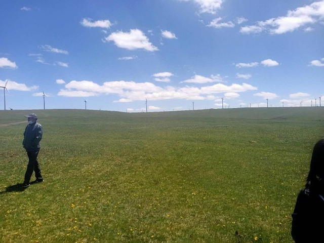 风景很美,小哥也帅,最后夸奖送给一直默默无闻的司机大哥,酒店接送