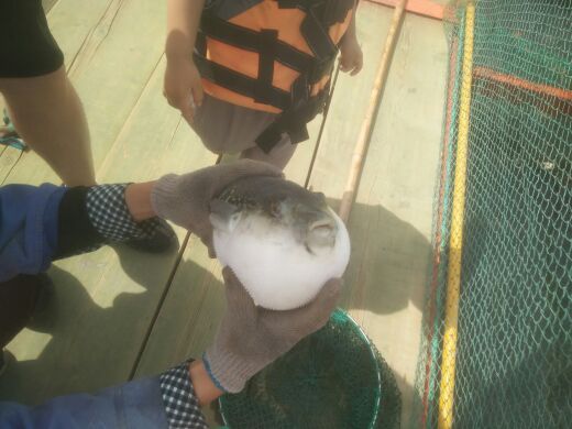 成山爱连湾海洋牧场(成山爱连湾度假酒店景区)