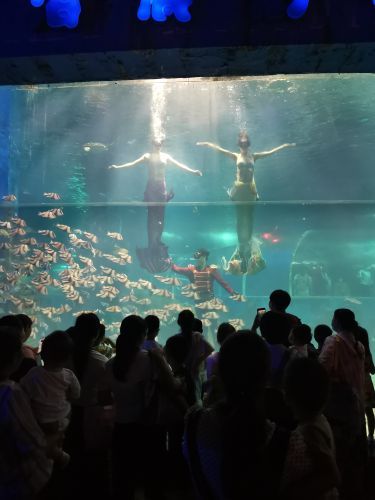 东京极地海洋馆