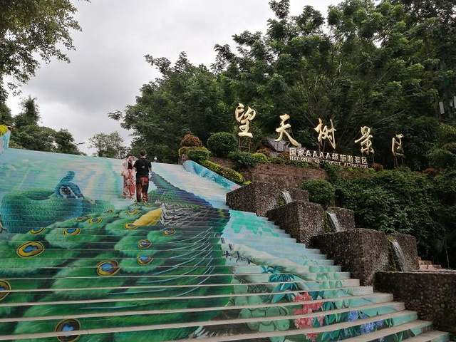 2024_望天树景区-评论-去哪儿攻略