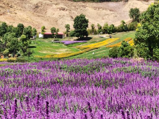 金麟湾爱情小镇