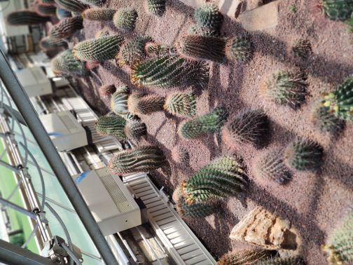 七星湖沙漠生态旅游区