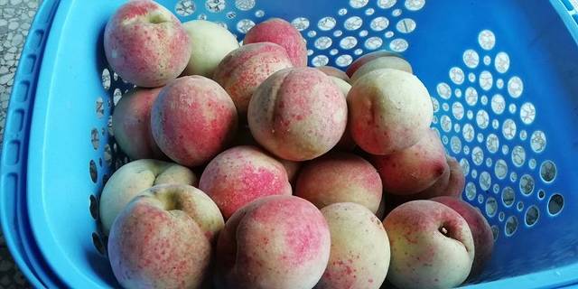 西溪磐石大峡谷