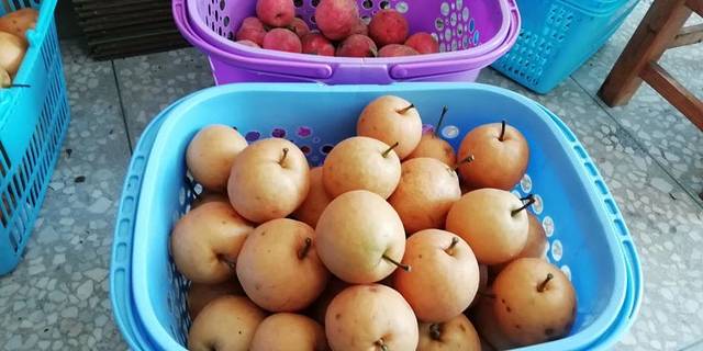 西溪磐石大峡谷