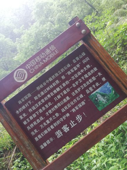 青峰峡森林公园