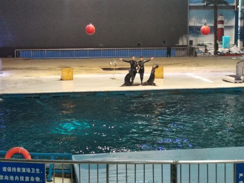 东京极地海洋馆