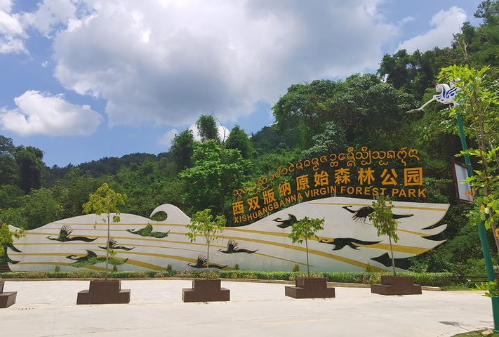 "_西双版纳原始森林公园"的评论图片