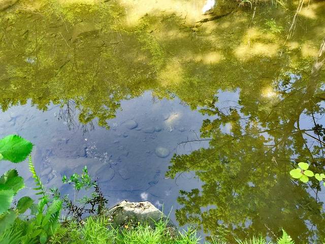 大玉米58楼城市观光厅