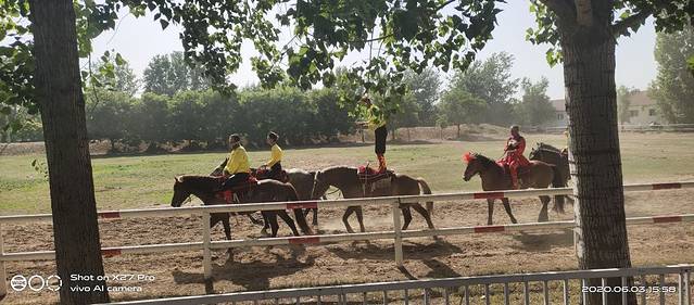 吴桥杂技大世界